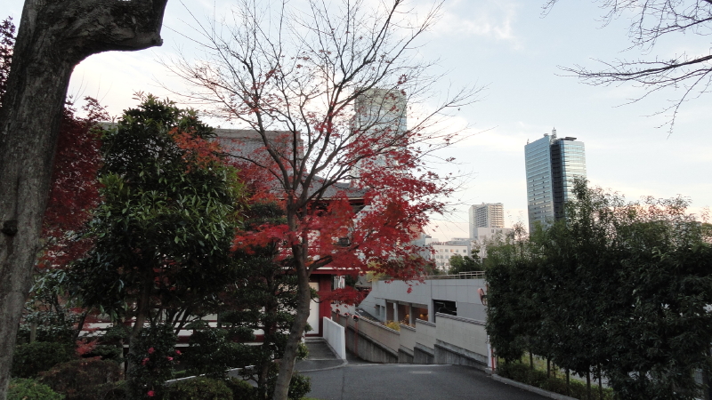 img0027.jpg