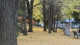 img0002.jpg