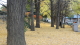 img0003.jpg