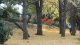 img0005.jpg