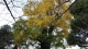img0016.jpg