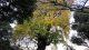 img0017.jpg