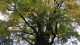 img0018.jpg