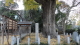 img0020.jpg