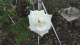 img0023.jpg