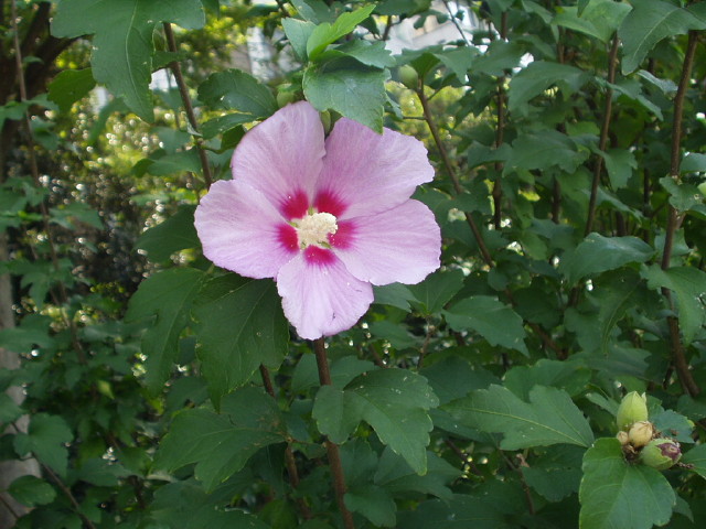 img0016.jpg