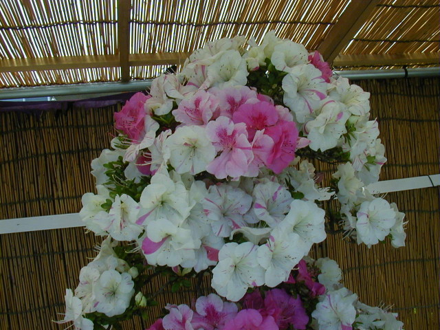 img0023.jpg