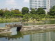 img0010.jpg