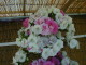 img0023.jpg
