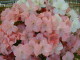 img0024.jpg