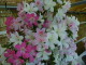 img0025.jpg