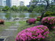 img0030.jpg