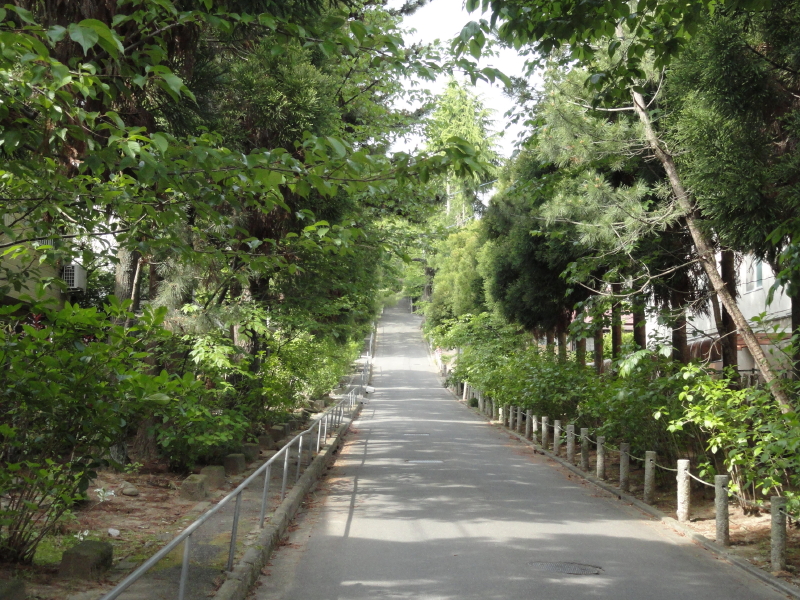 img0000.jpg