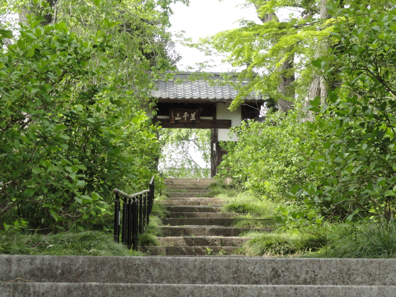 img0001.jpg