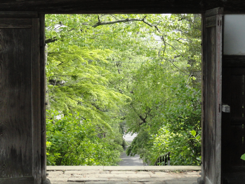 img0006.jpg