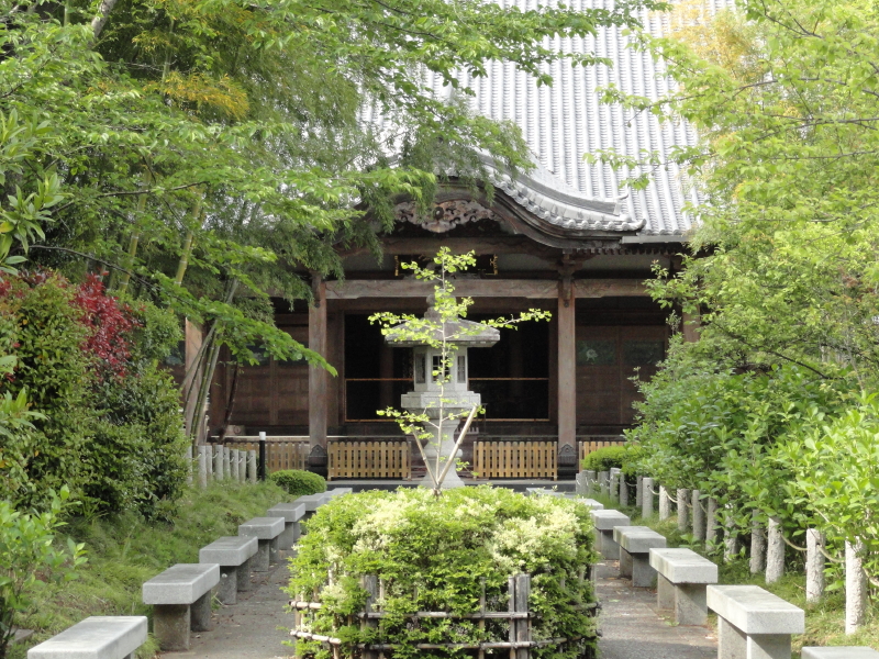 img0007.jpg