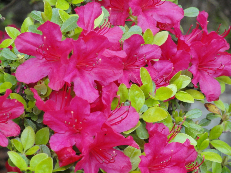 img0014.jpg
