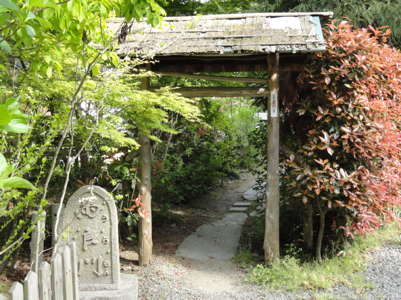 img0016.jpg