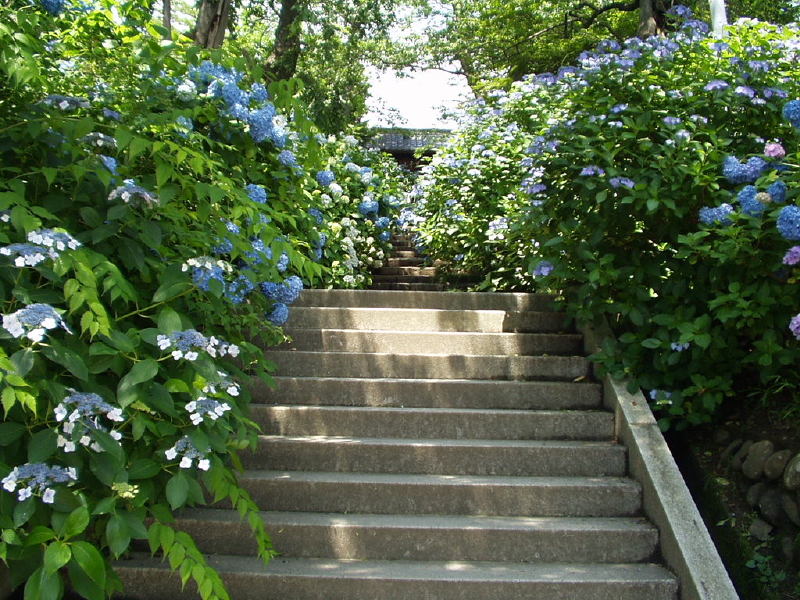 img0019.jpg