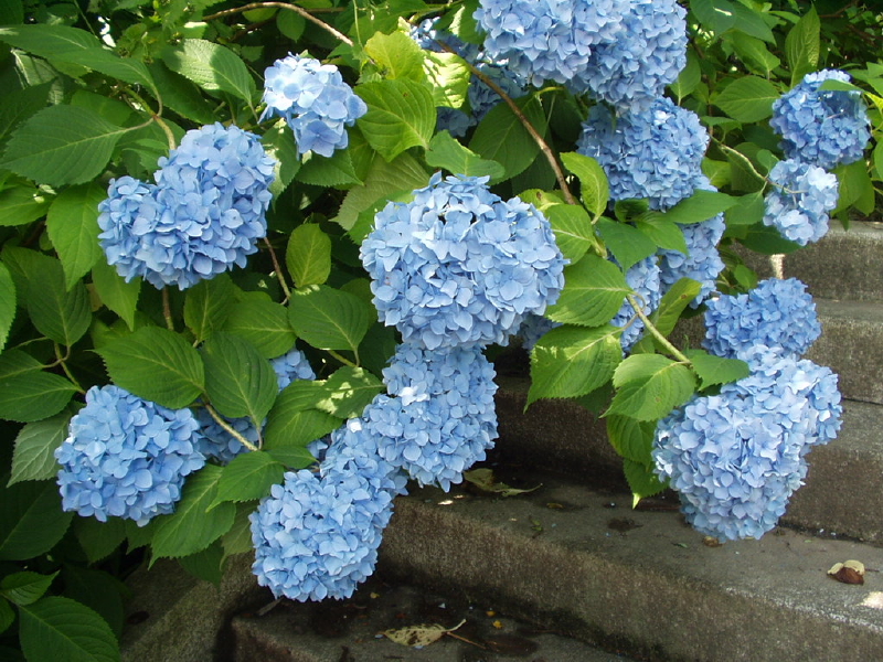 img0020.jpg