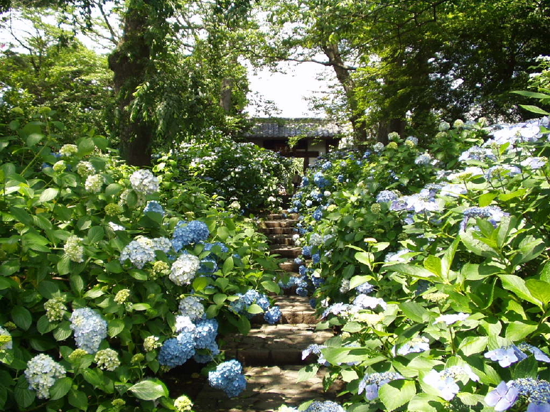 img0021.jpg