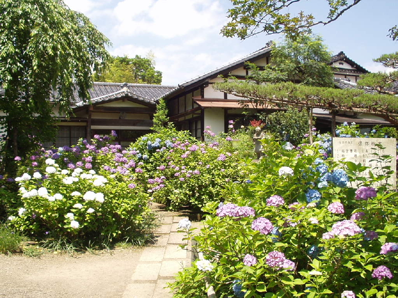 img0026.jpg