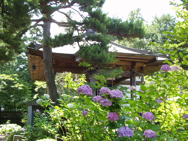 img0027.jpg