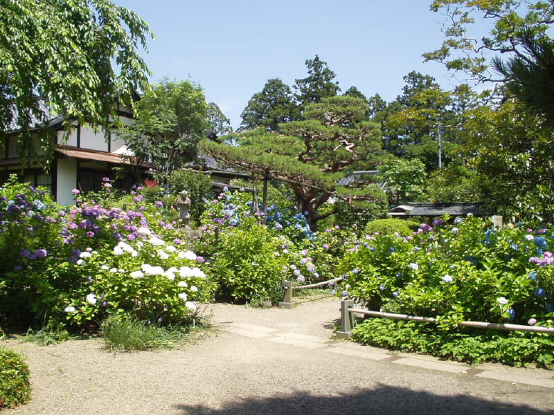 img0028.jpg