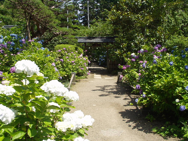 img0029.jpg
