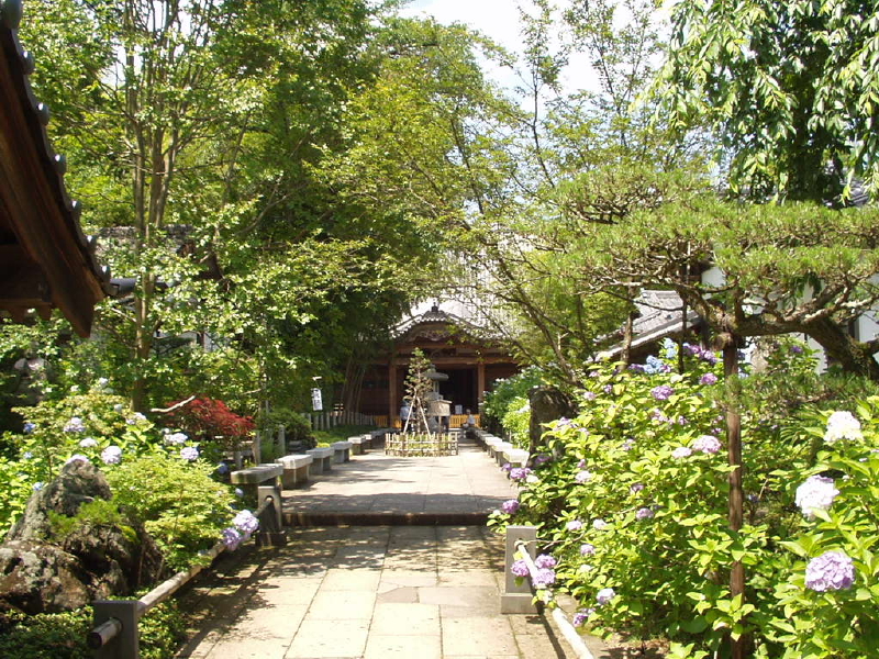 img0031.jpg