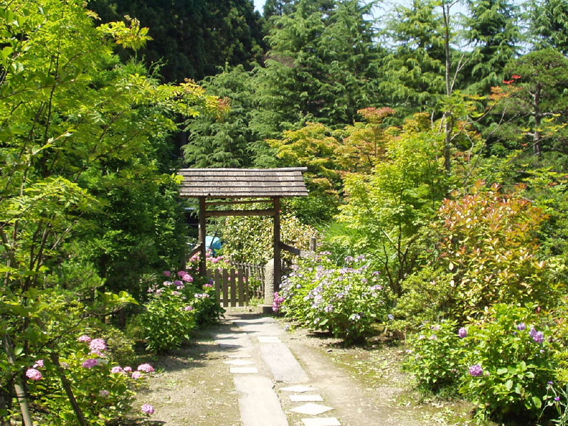 img0034.jpg