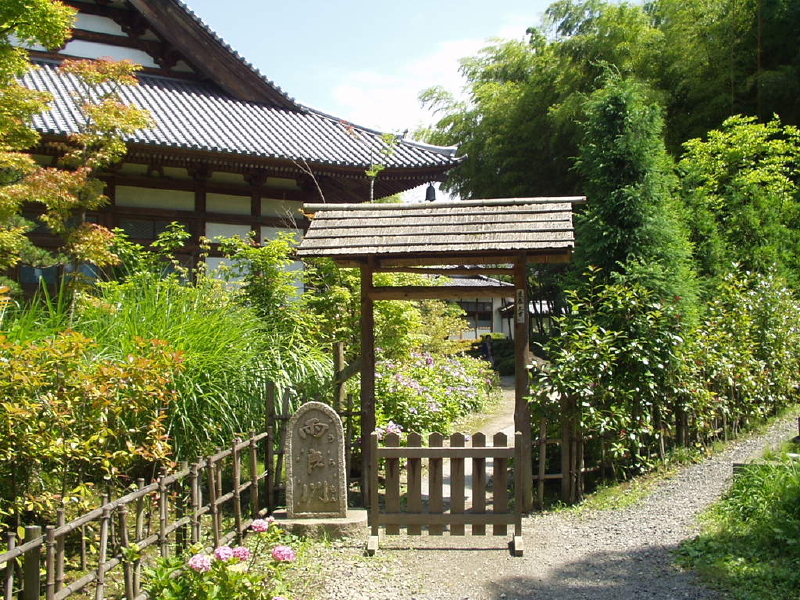 img0035.jpg