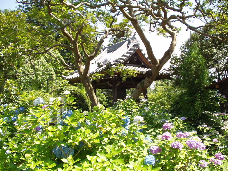 img0038.jpg