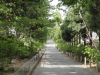 img0000.jpg