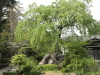 img0002.jpg