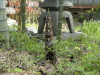 img0012.jpg