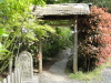 img0016.jpg