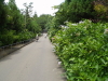 img0017.jpg