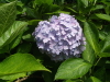 img0018.jpg