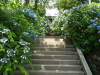 img0019.jpg