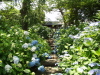 img0021.jpg