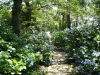 img0025.jpg