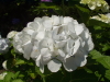 img0030.jpg