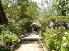 img0031.jpg