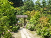 img0034.jpg
