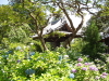 img0038.jpg