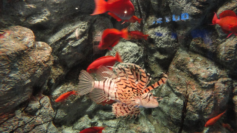 img0014.jpg