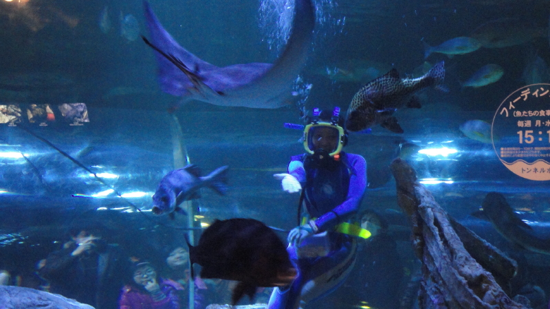 img0018.jpg