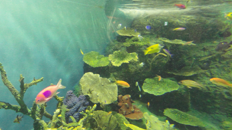 img0020.jpg