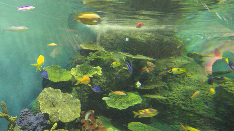 img0021.jpg